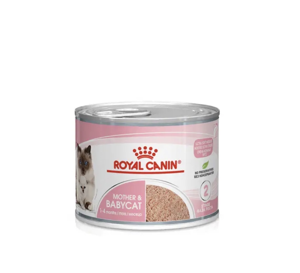 ROYAL CANİN CAT BABYCAT SOUTH 195 GR